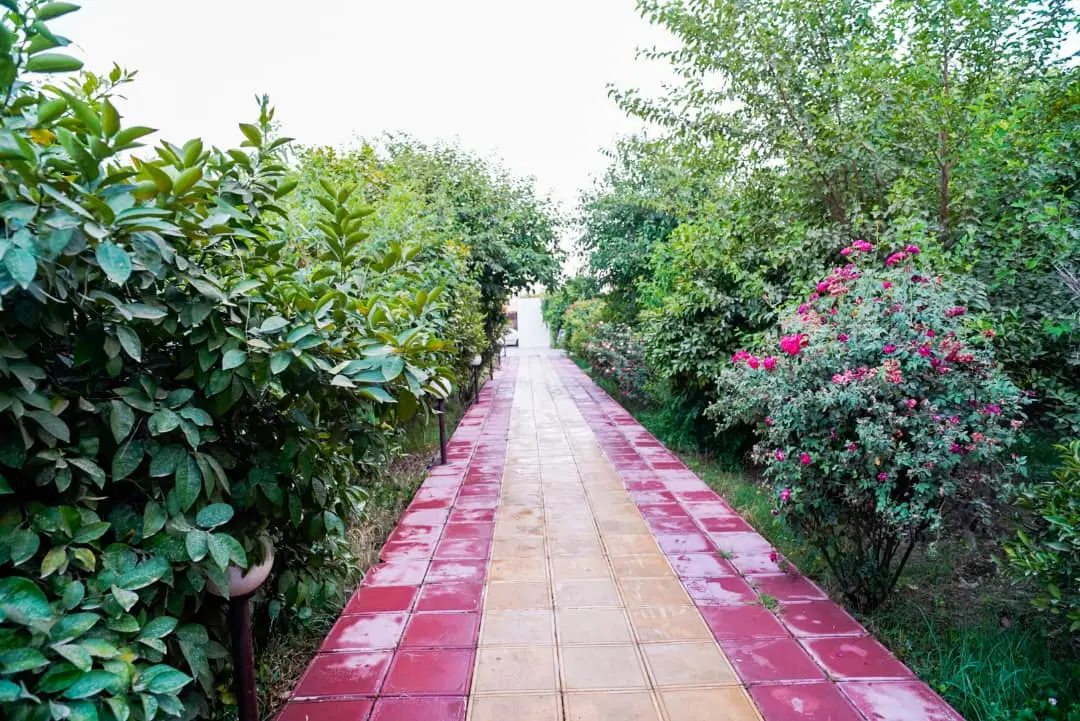 اجاره روزانه باغ و ویلا