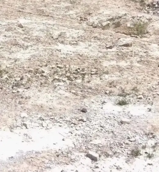 زمین شهرک شهدا