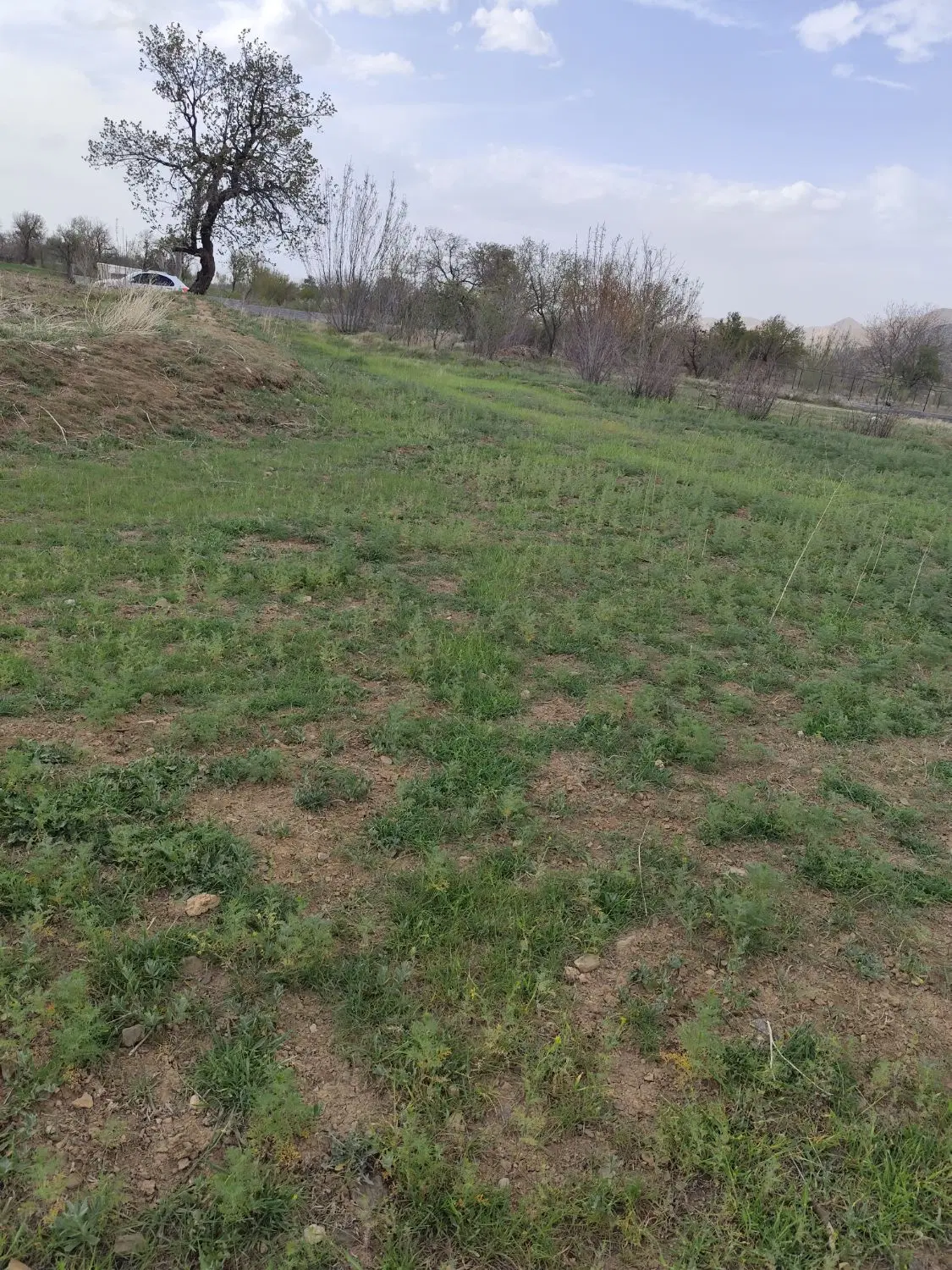 معاوضه یا تهاتر با خودرو یا طلا