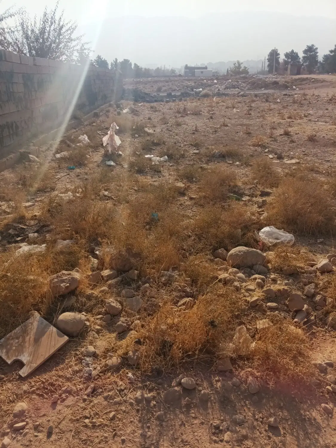 زمین