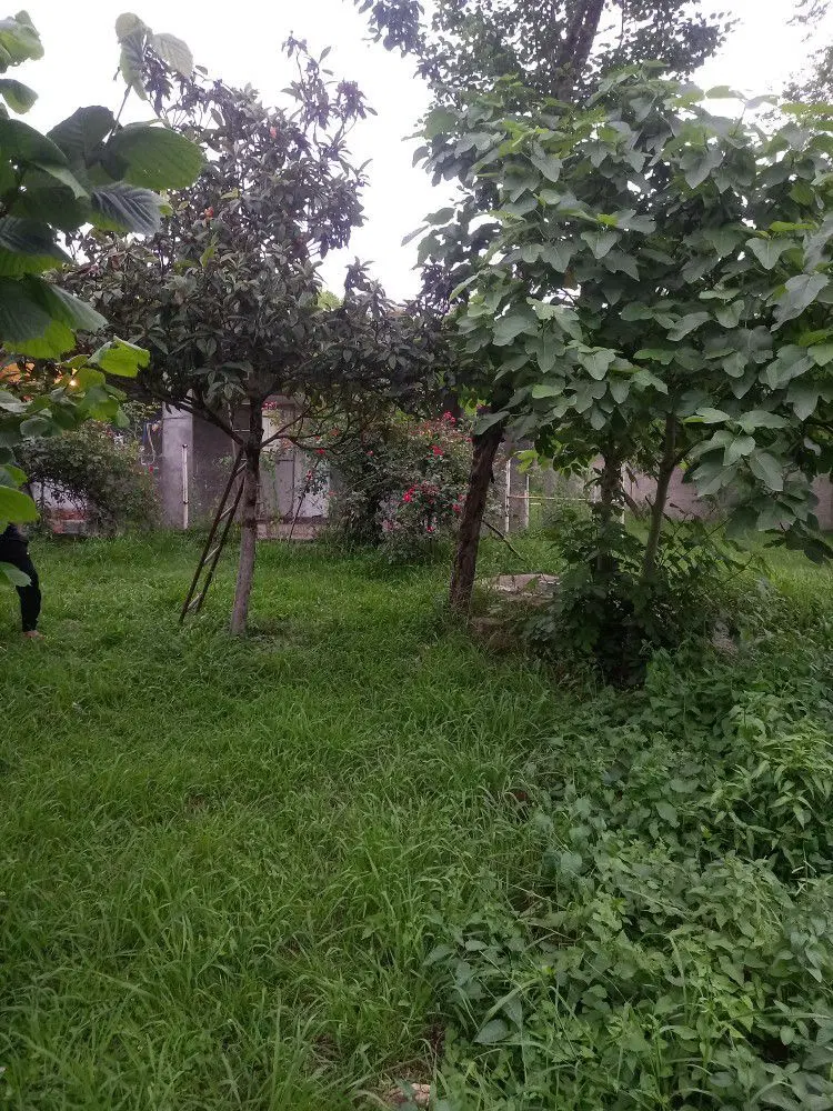 فروش زمین مسکونی