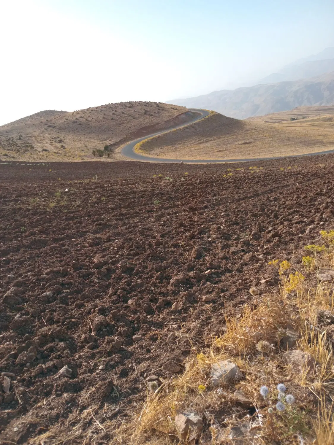 فروش 1_5 هکتار زمین کشاورزی دیم روستای وناکوه