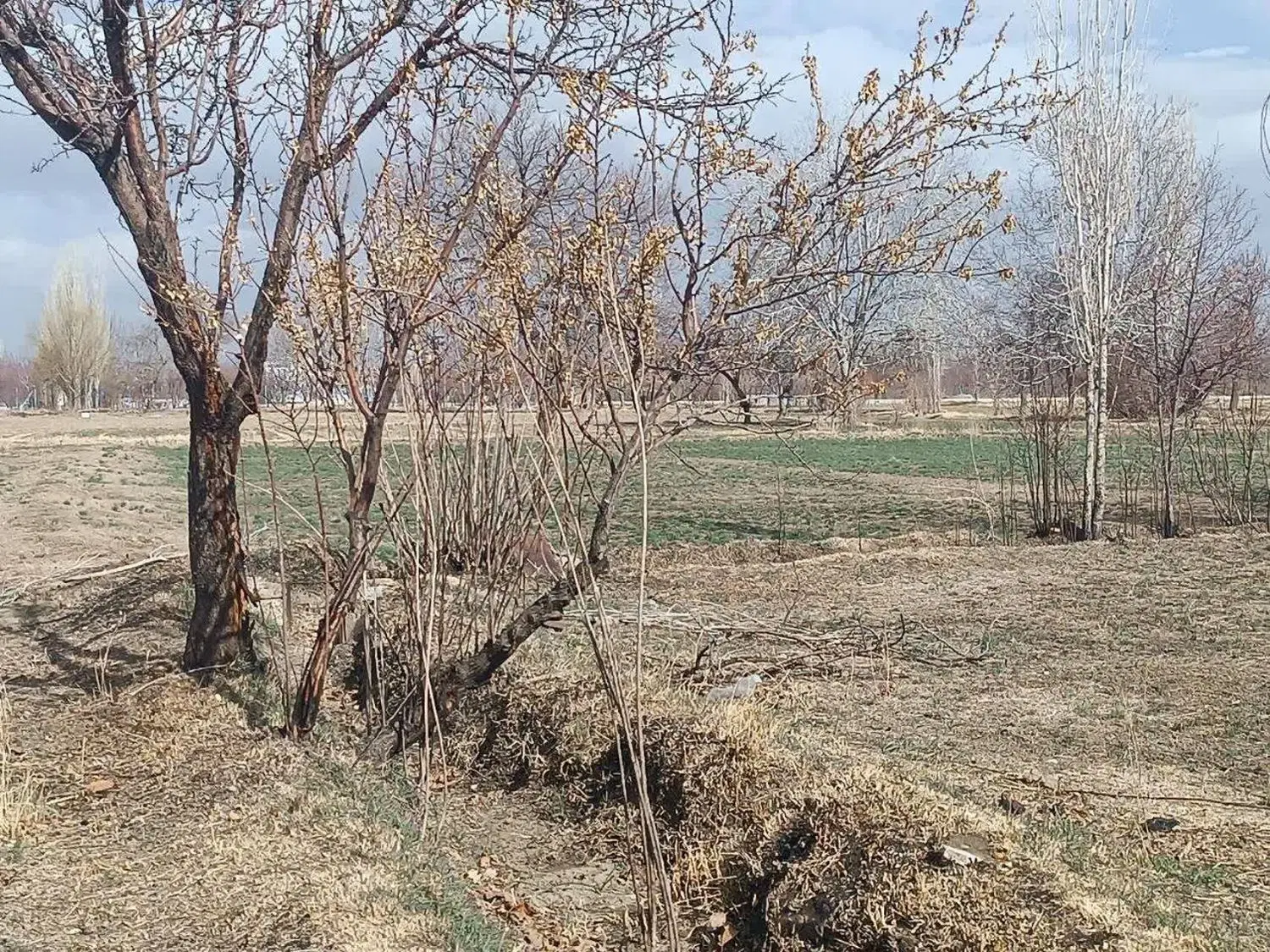 اجاره زمین کشاورزی