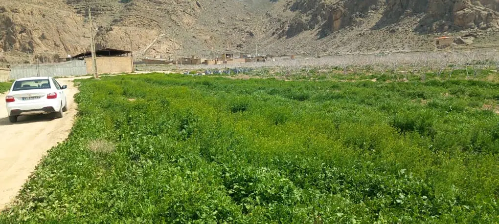 یک هکتار زمین کنار جاده اصلی جهت اجاره  اهن کهنه