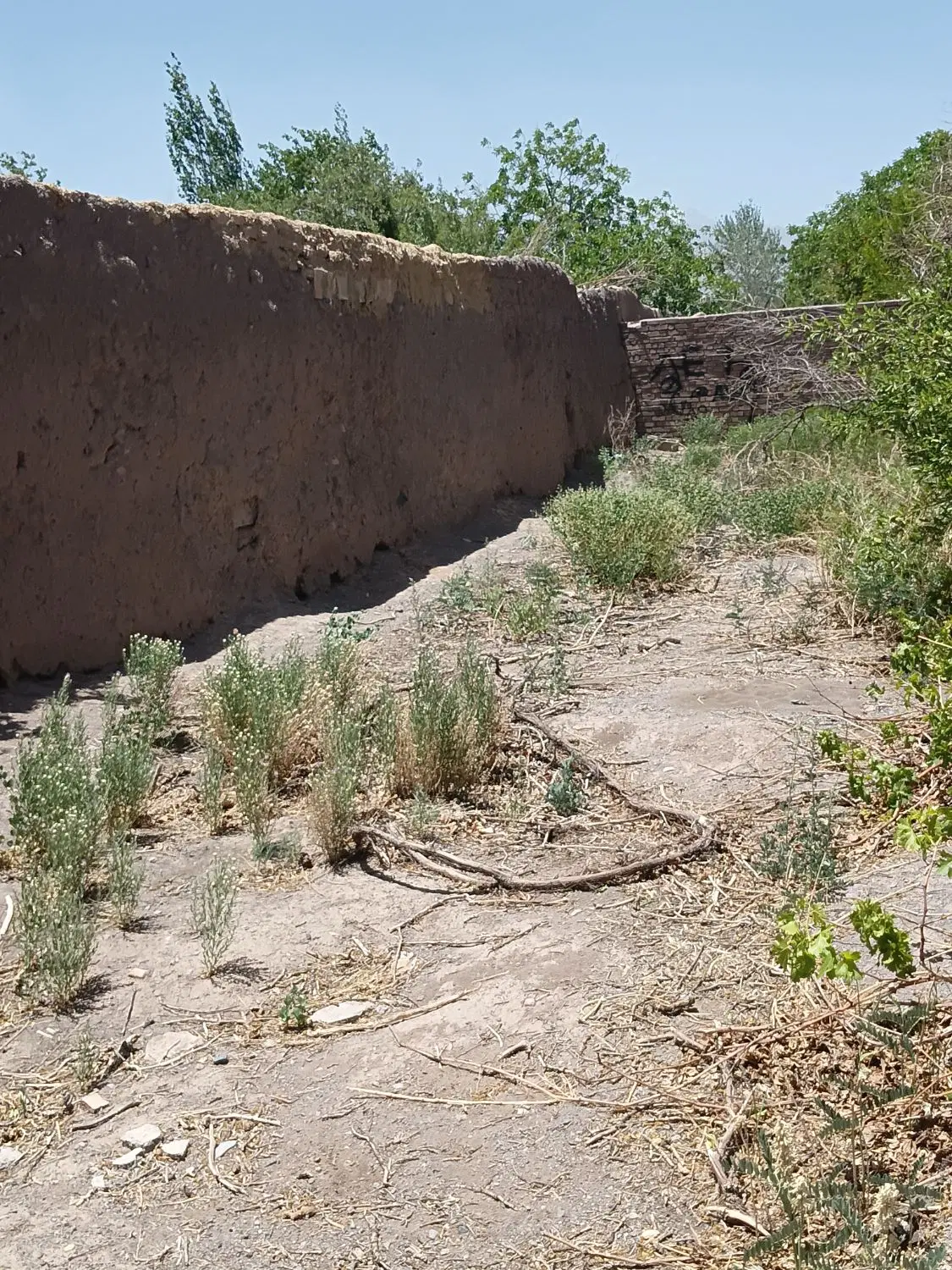 زمین با غی
