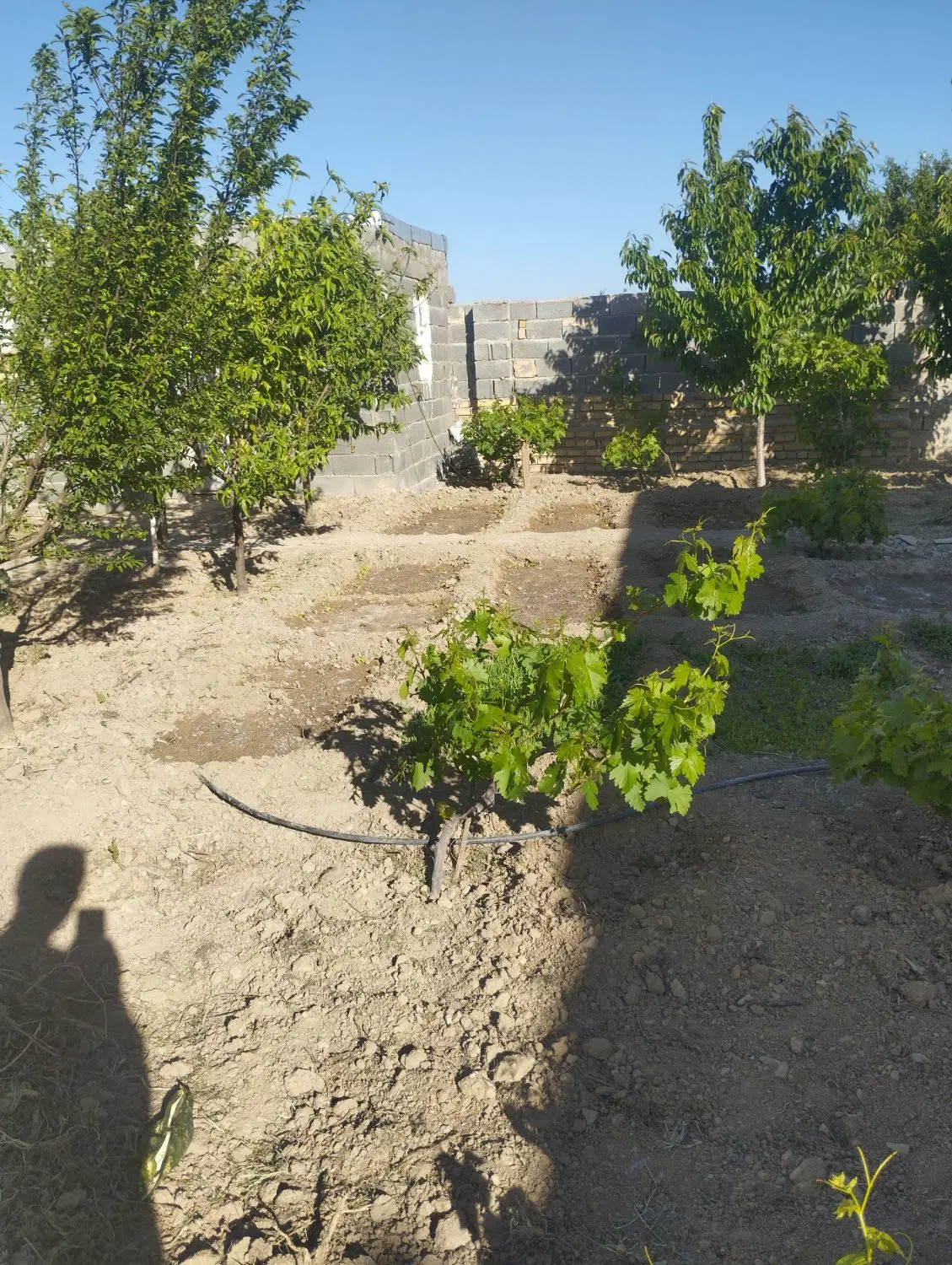 فروش خانه باغ