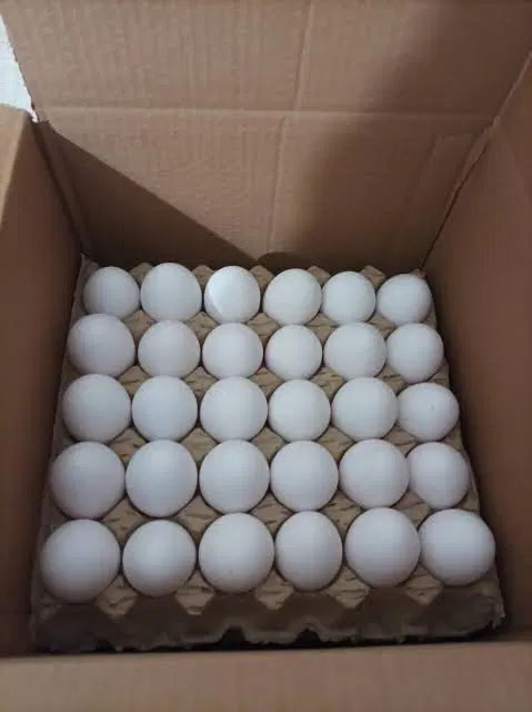 واگذاری مغازه دوازده متری