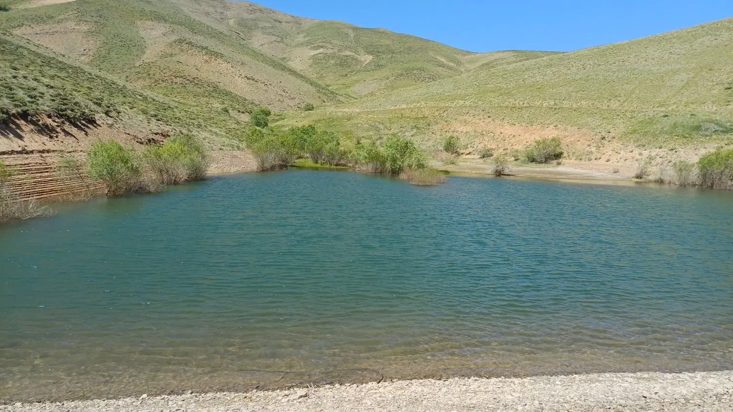 زمین کشاورزی