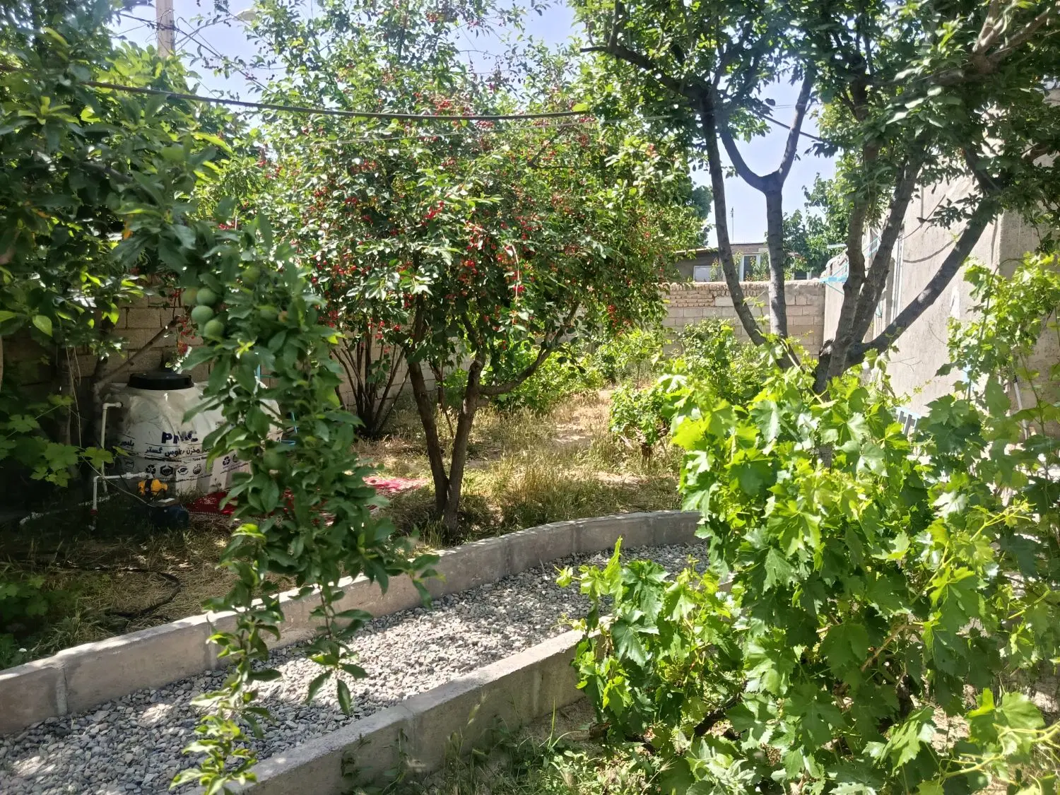 اجاره ویلاباغ. رایگان.