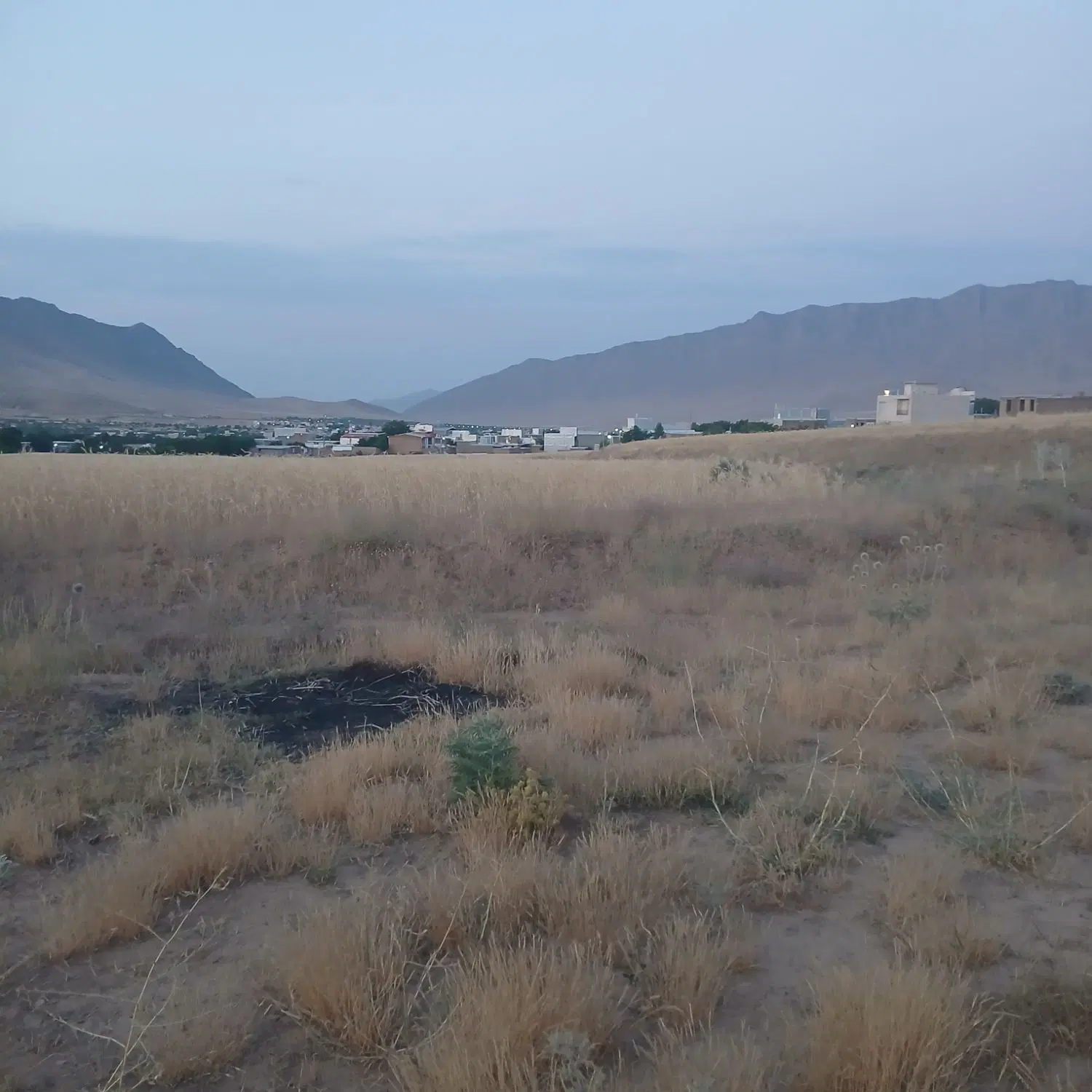زمین کشاورزی