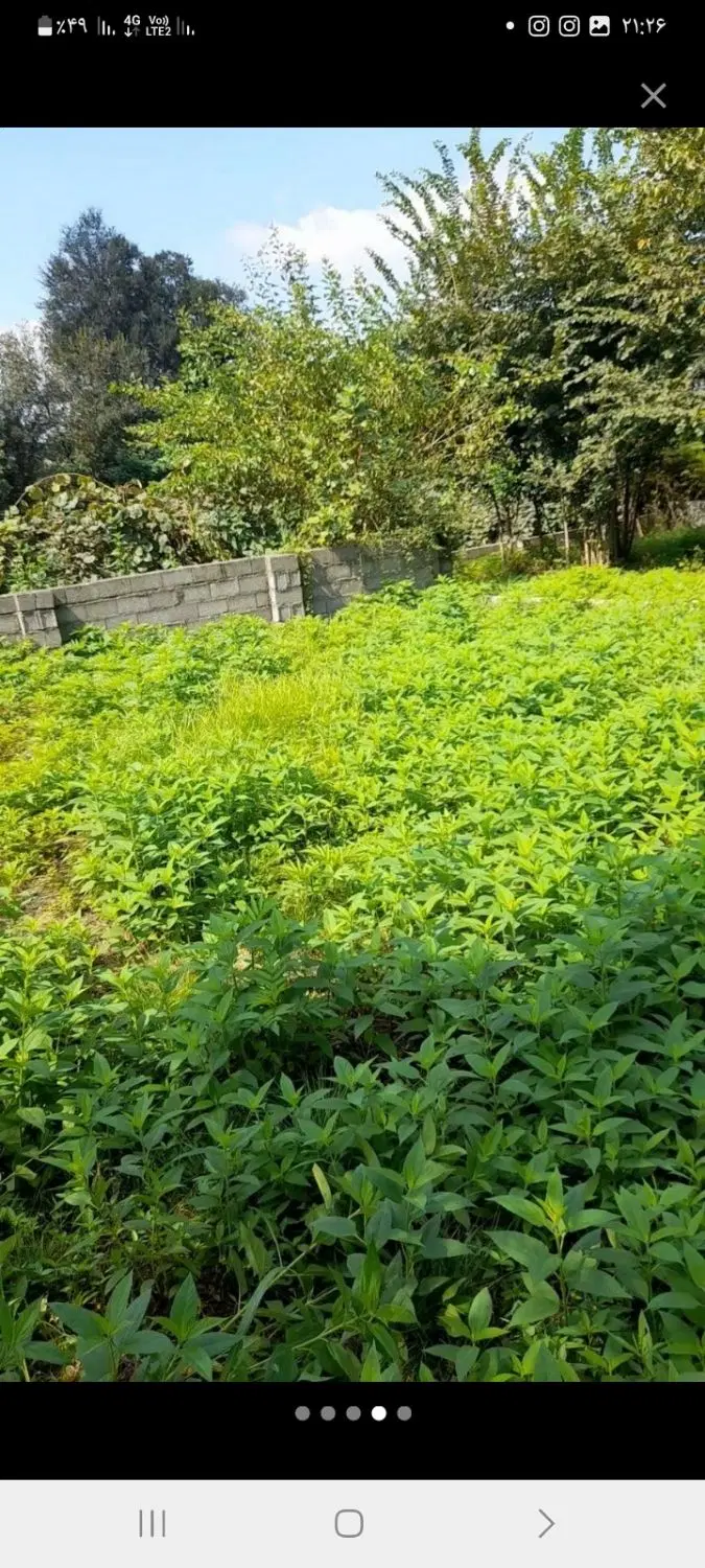 دو قطعه زمین طلق