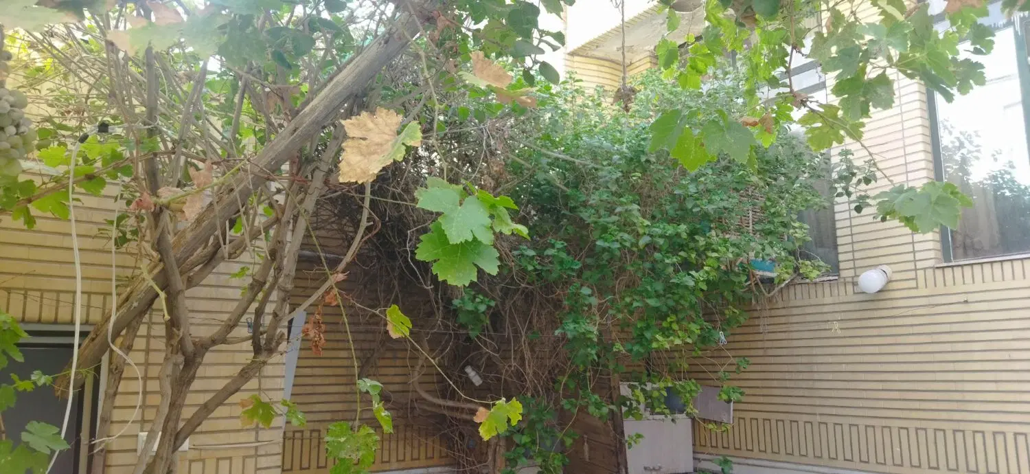 سه طبقه  سند شش دانگ