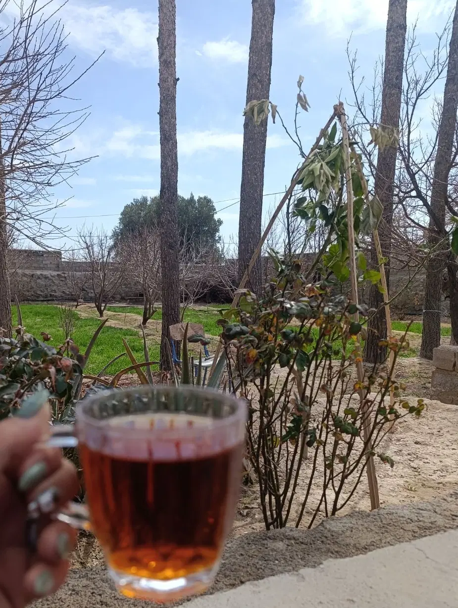 خونه محدوده بهداشت و فلسطین و خیام و توحید