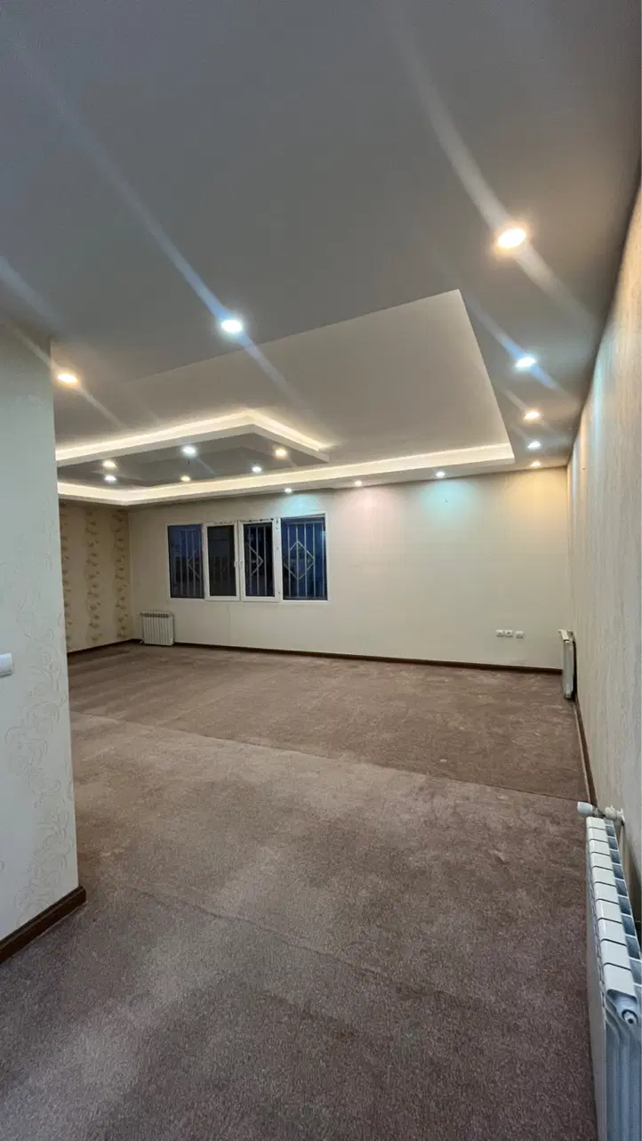 تراس بزرگ ناحیه یک عرصه تسویه_کارا