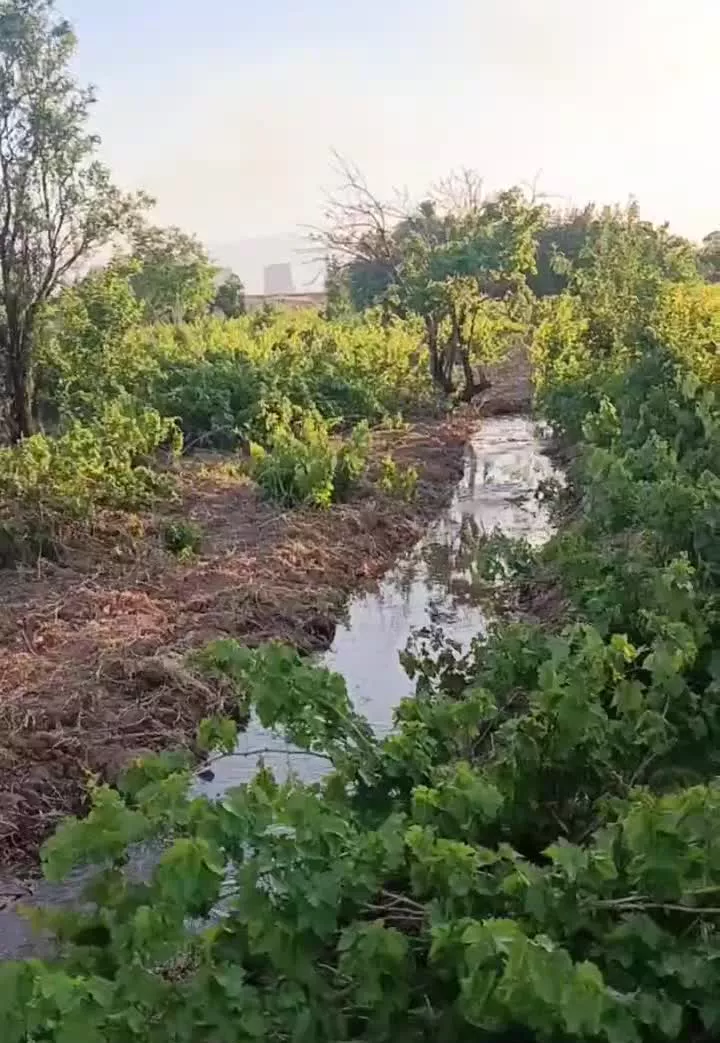 باغ نقلی رباط