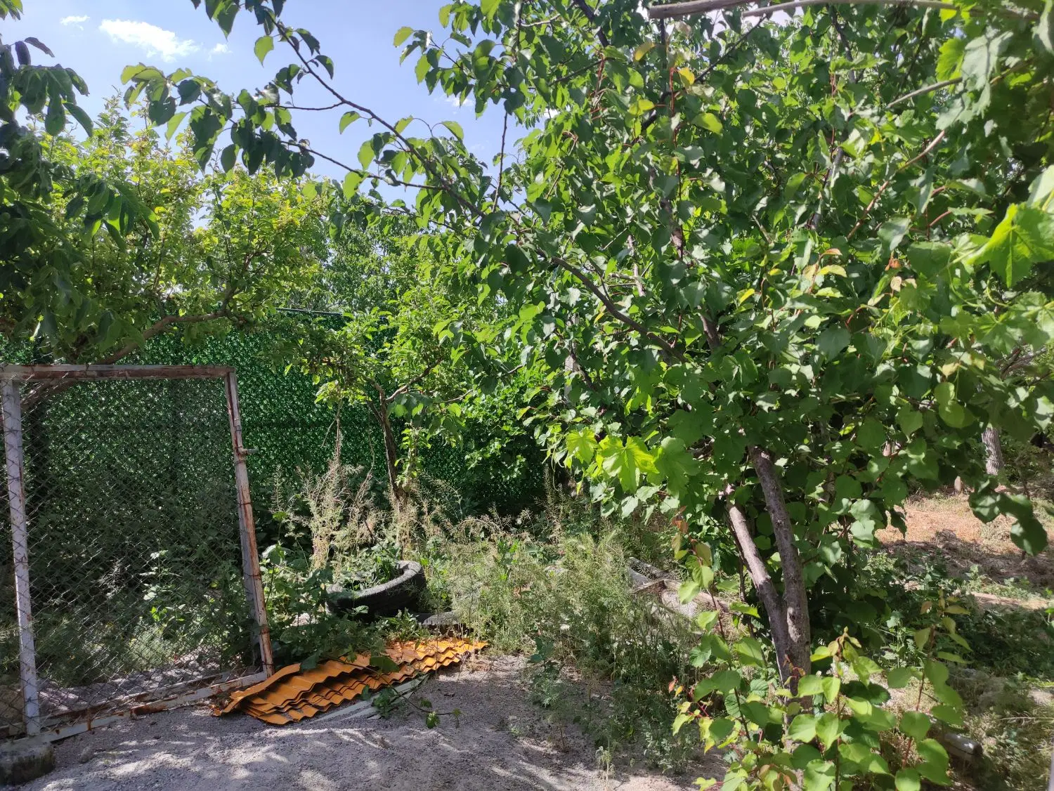 ویلا بر خیابان اصلی اسکو