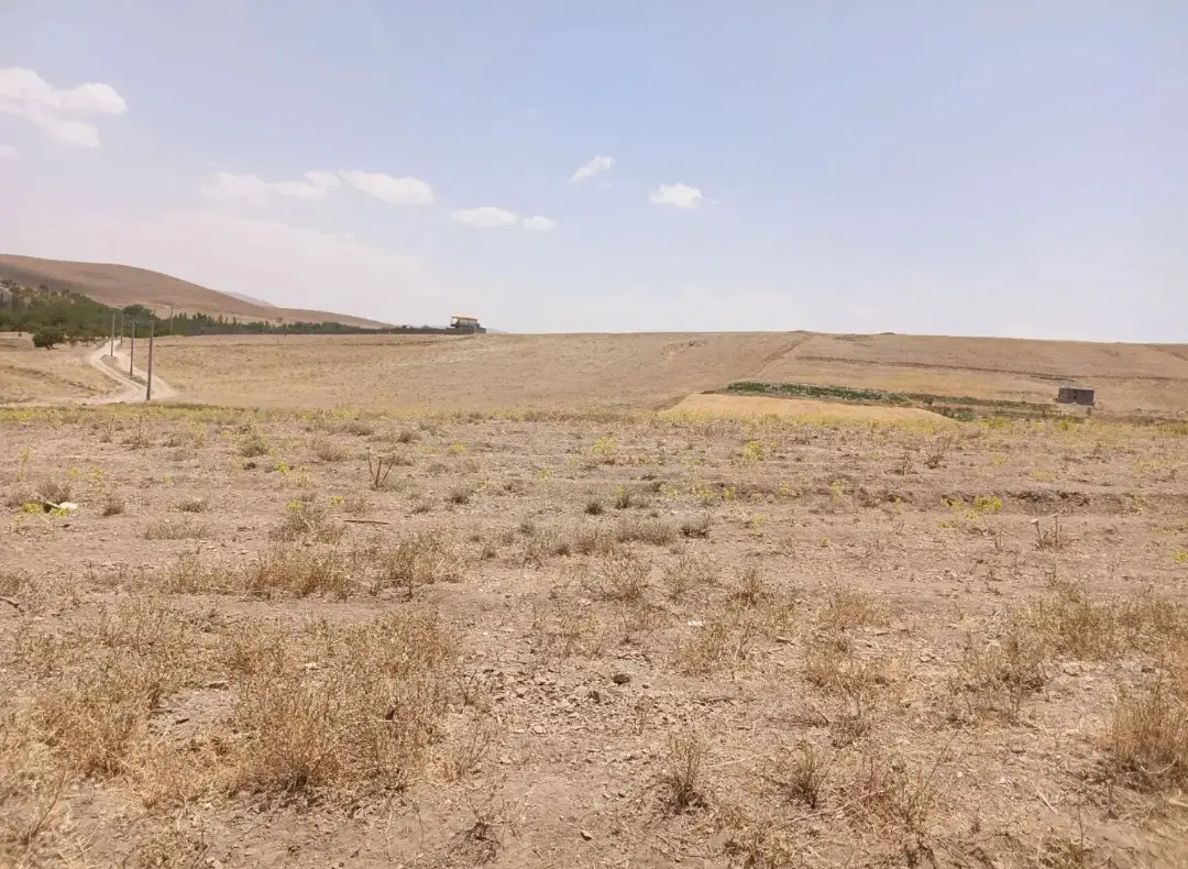 زمین