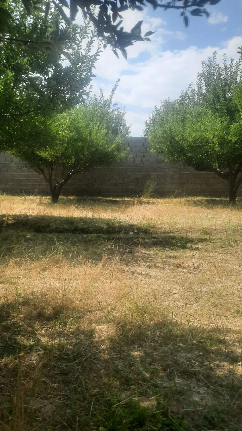 زمین مسکونی