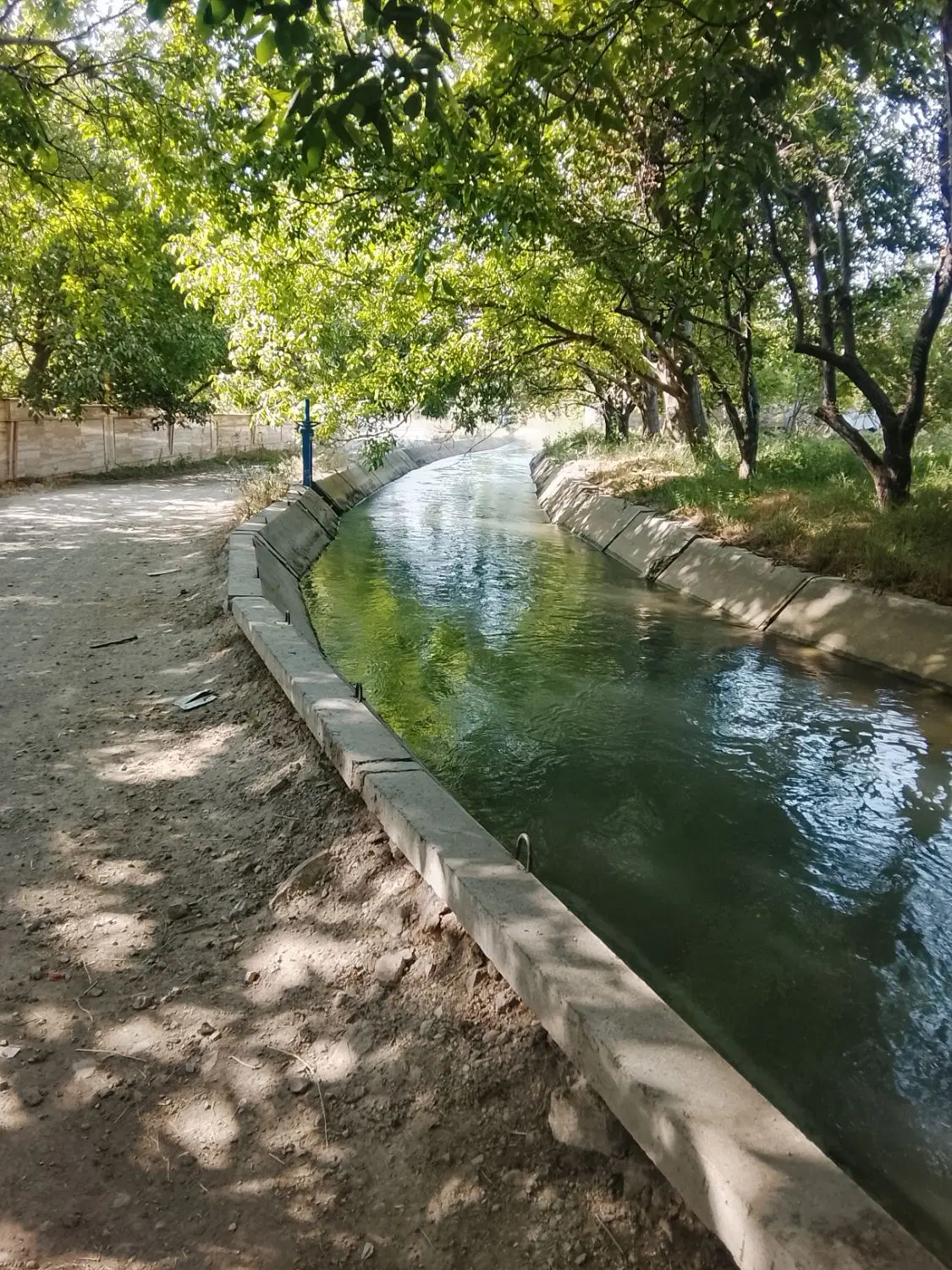 اجاره باغ سیب
