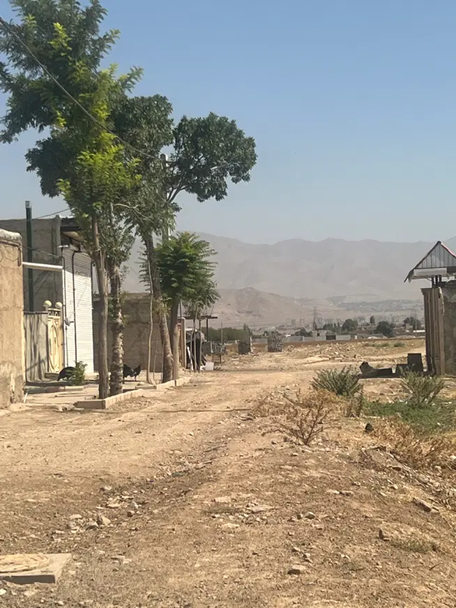 زمین صدمترعلی ابادنظرابادبهارستان ۶۹قیمت۸۰۰تومن