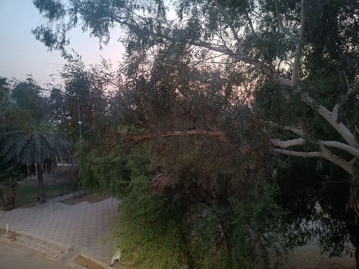 فروش مغازه در بازار مرکزی سوسنگرد چهارراه شریعتی
