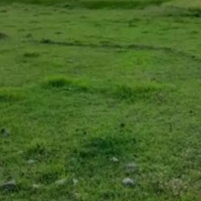 باغی کشاورزی