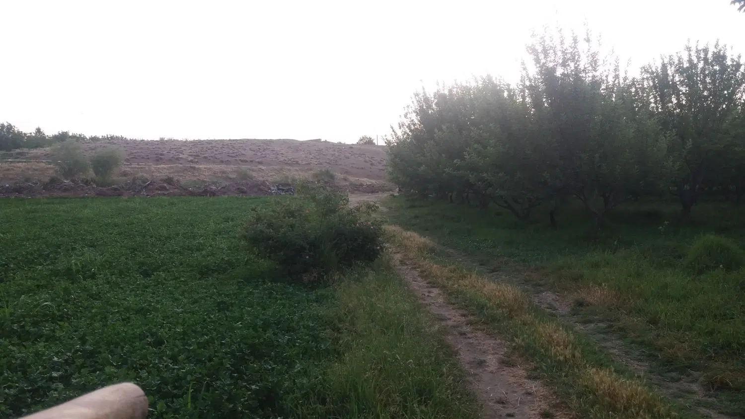 زمین کشاورزی بدون نوبت به آب