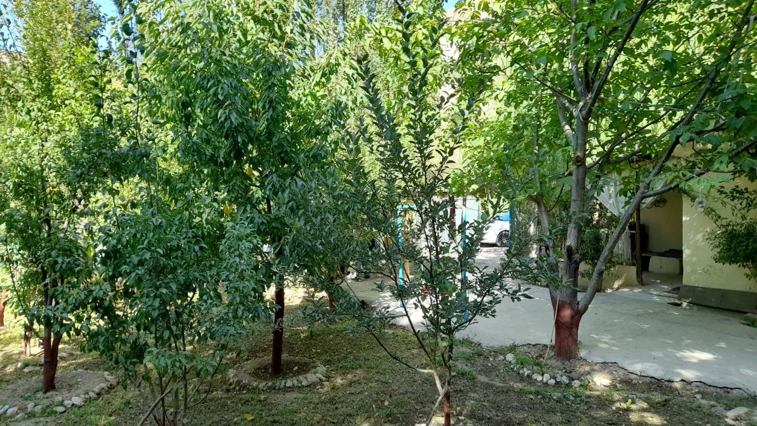 باغچه نقلی با ویلای نقلی با مدارک کامل