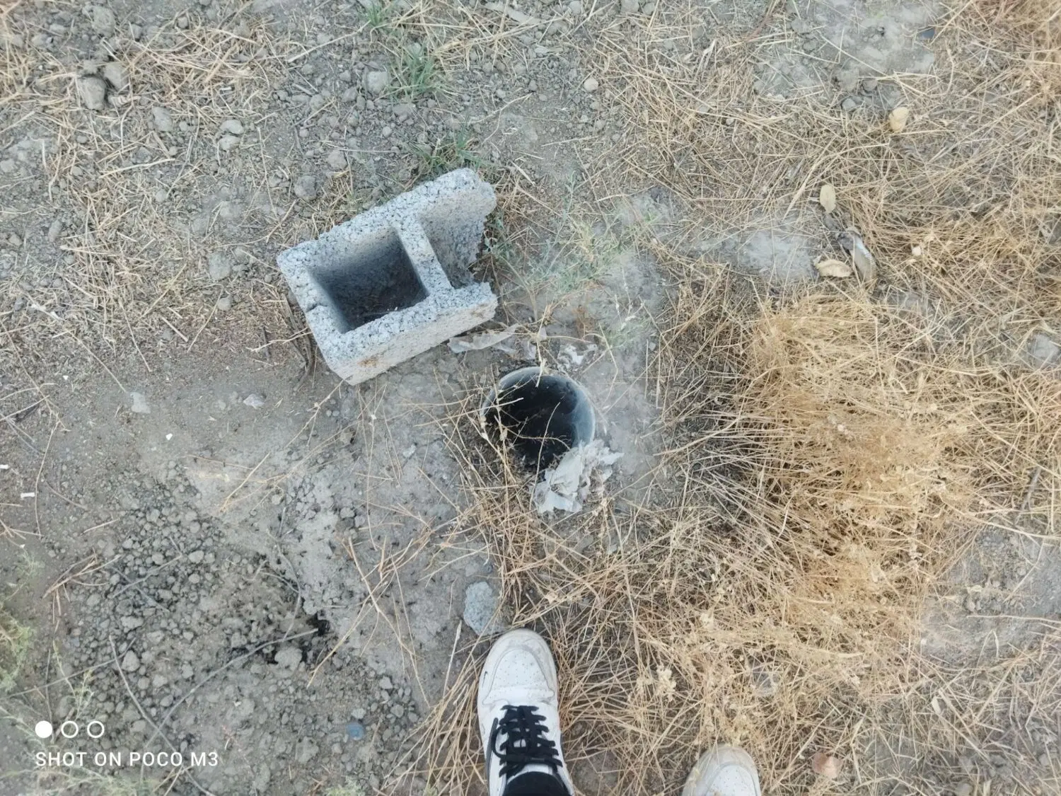 باغ پسته معاوضه با ماشین
