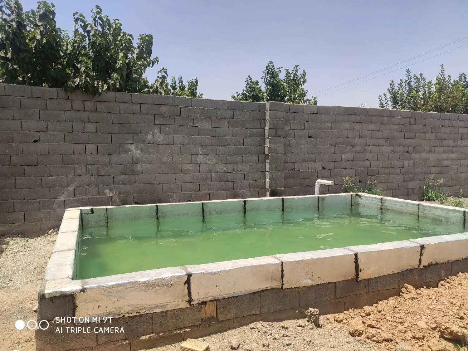 باغ ایچی