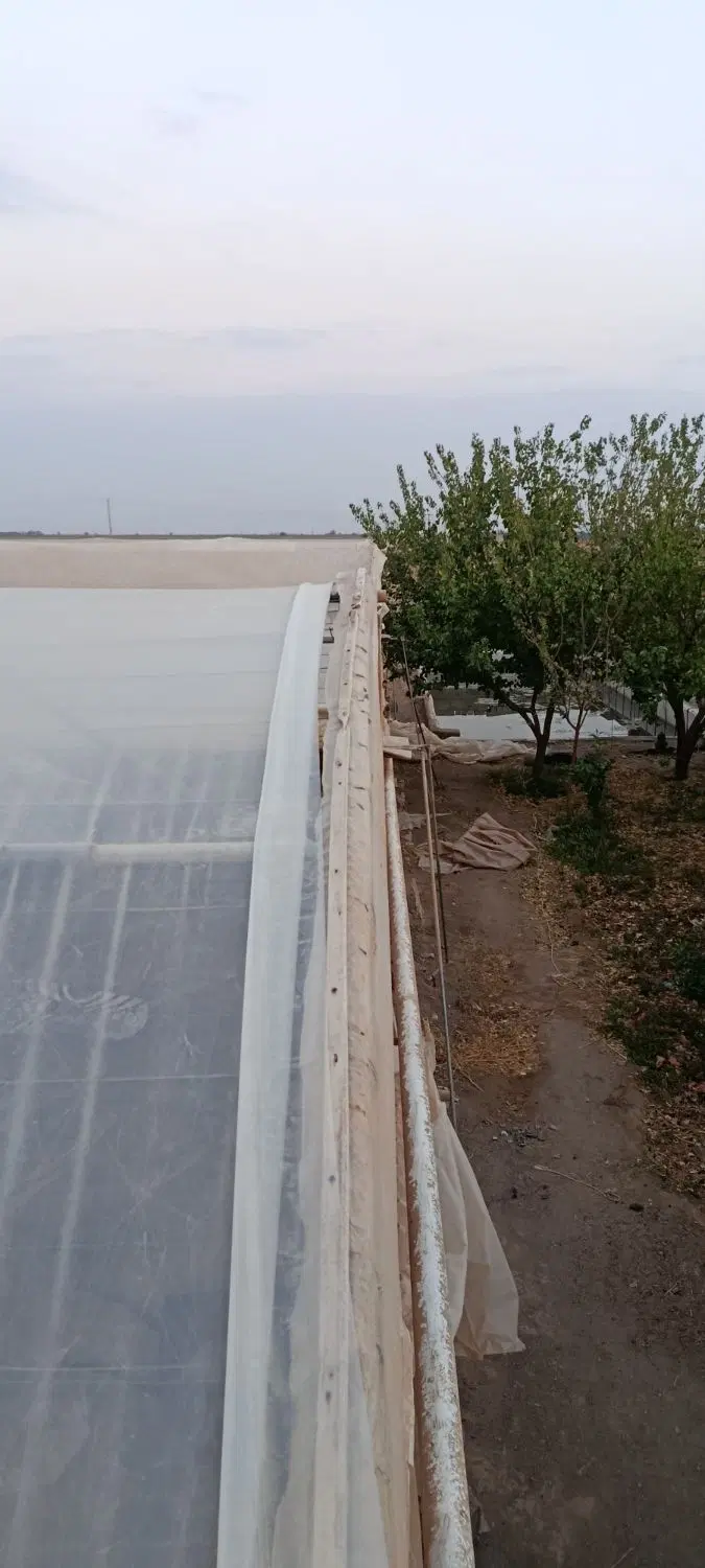 گلخانه