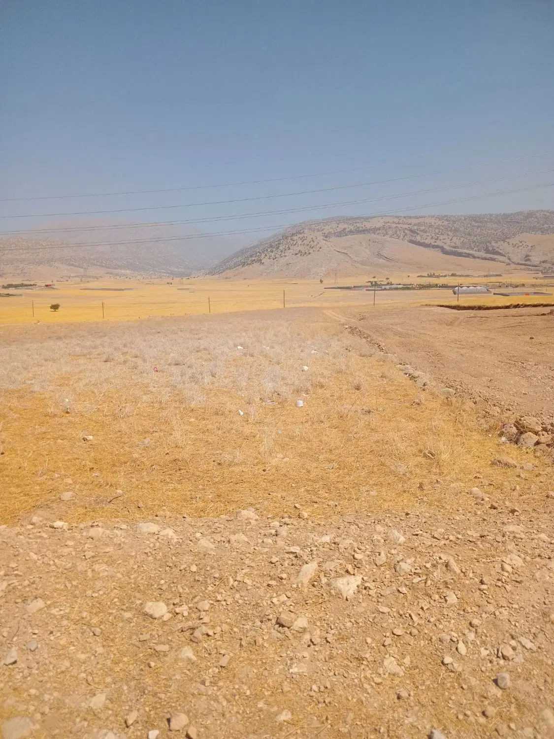 فروش زمین
