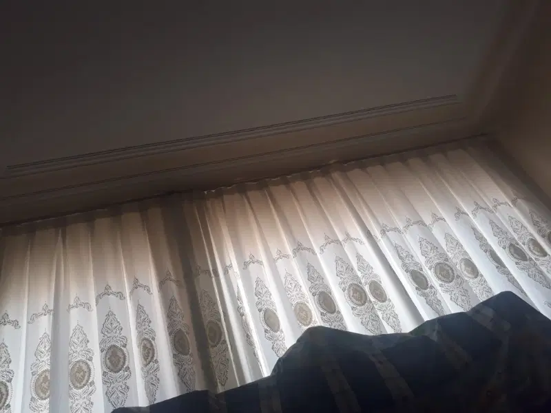 همخونه میشم