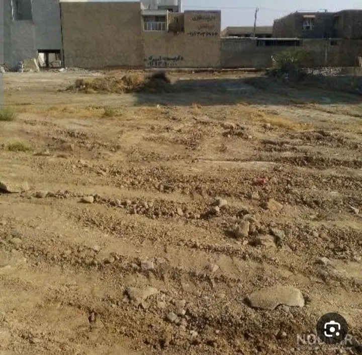 زمین کمیل موحدی نیا