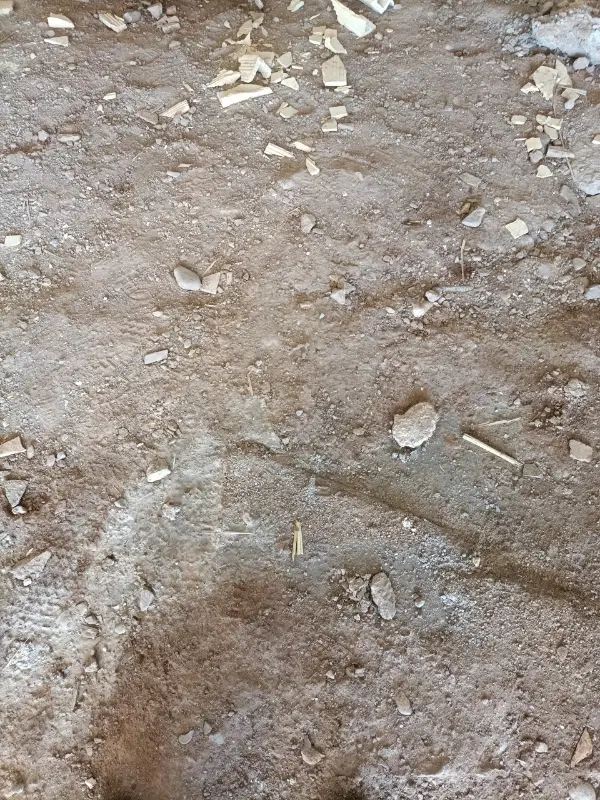 زمین پاگر