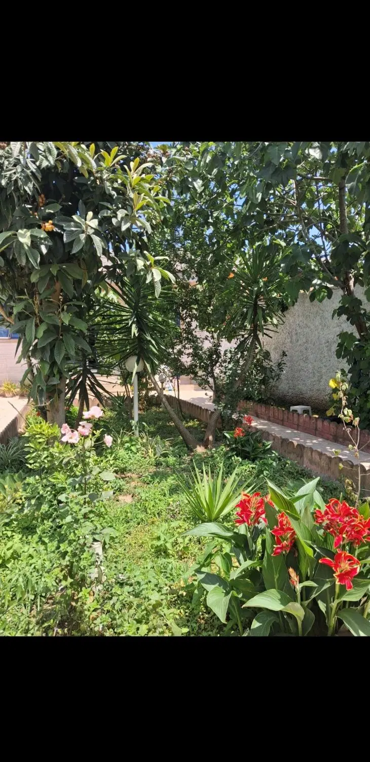 اگر ویلایی باصفا،با قیمتی مطلوب میخواهید