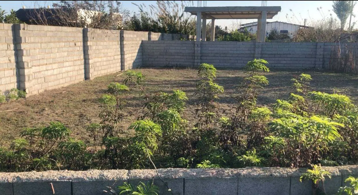 فروش زمین233متری مناسب سرمایه گذاری