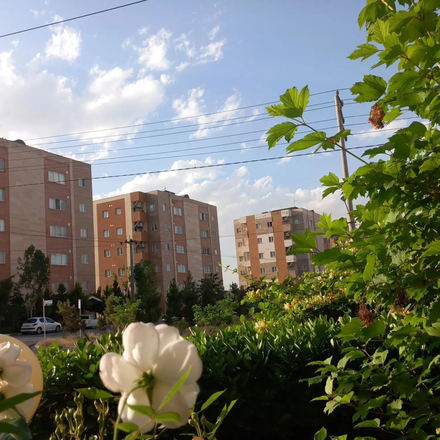 مقازه حاشیه خیابان طرقبه