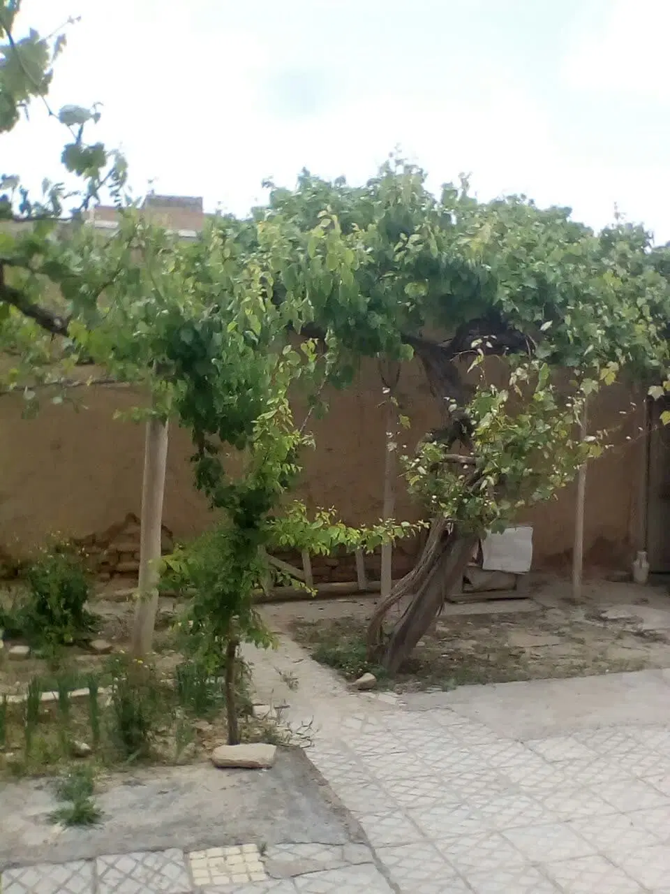 خانه ویلایی