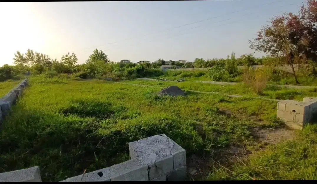 زمین در لشت شا