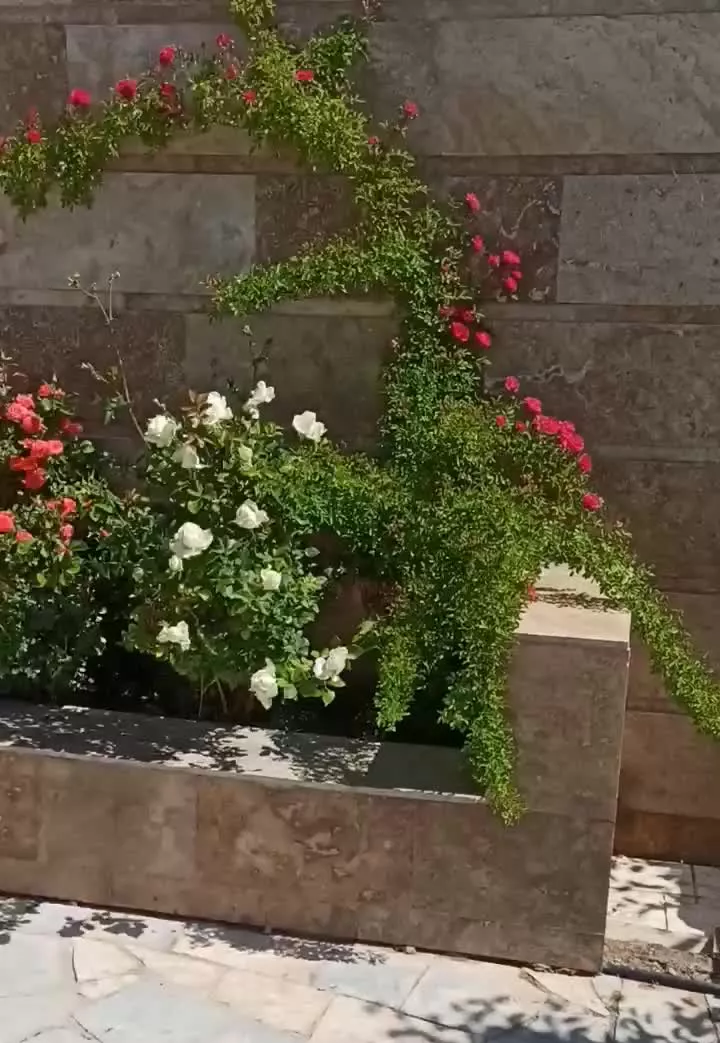 باغ 300 متری ارامگاه فردوسی