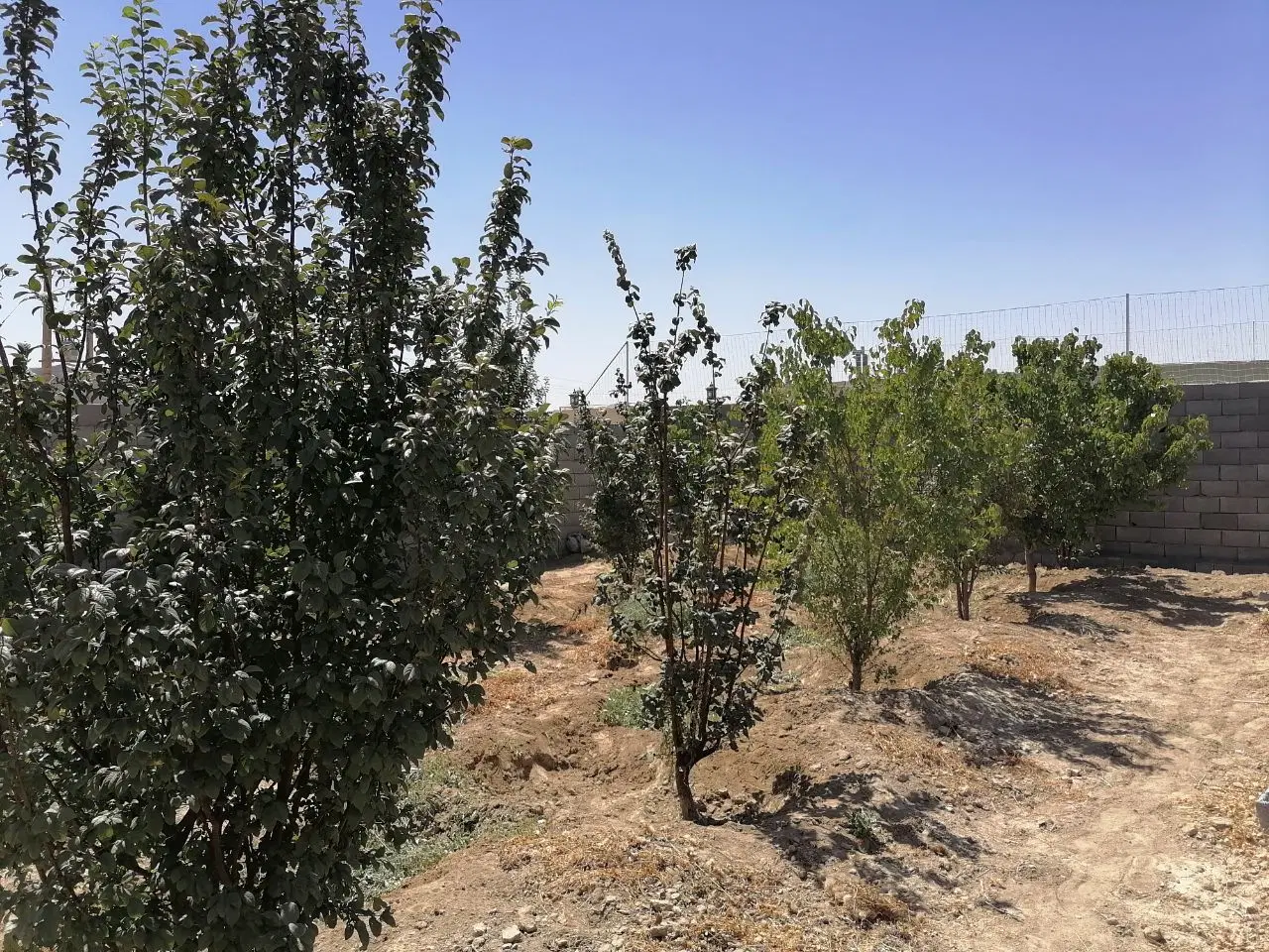 باغ چهار دیواری، امنیت امکانات کامل