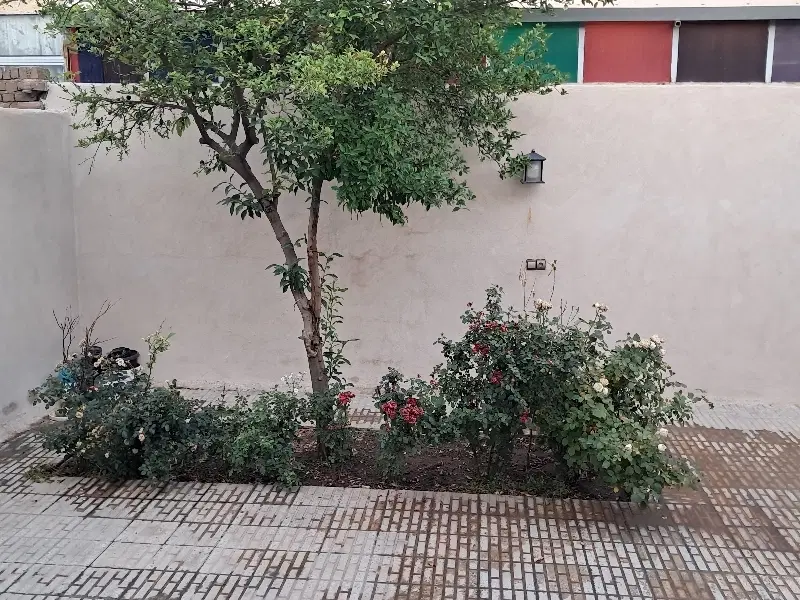 زیرزمین اجاره ای راه جدا تازه بازسازی شده فاز ۱