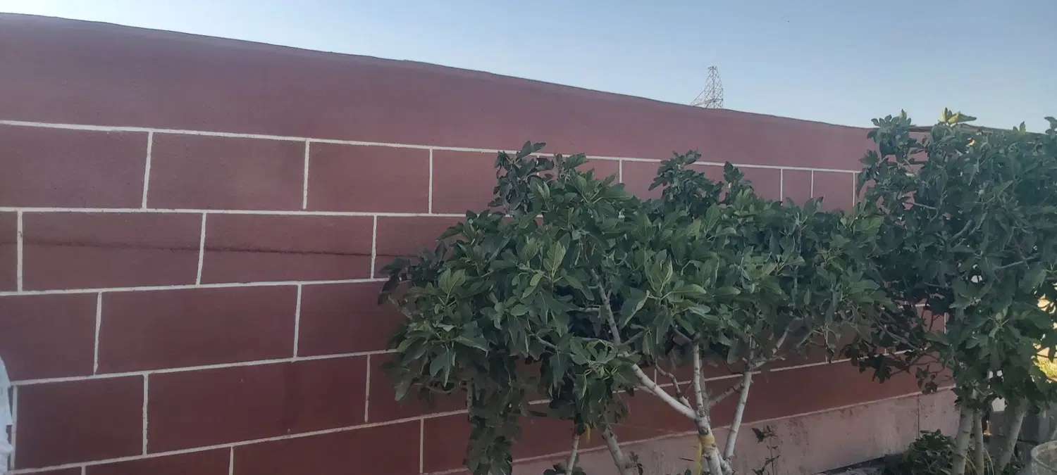 فروش باغ و باغچه