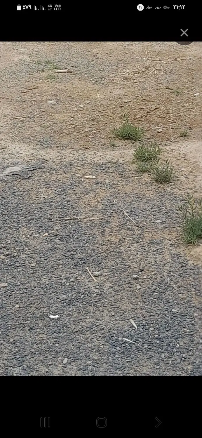 فروش زمین