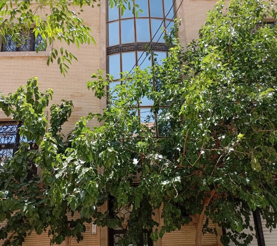دوطبقه ۱۴قصبی الغدیر