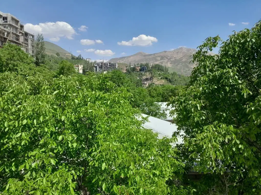 فروش ویلا باغ ۸۴۰متر مشجر میگون نو