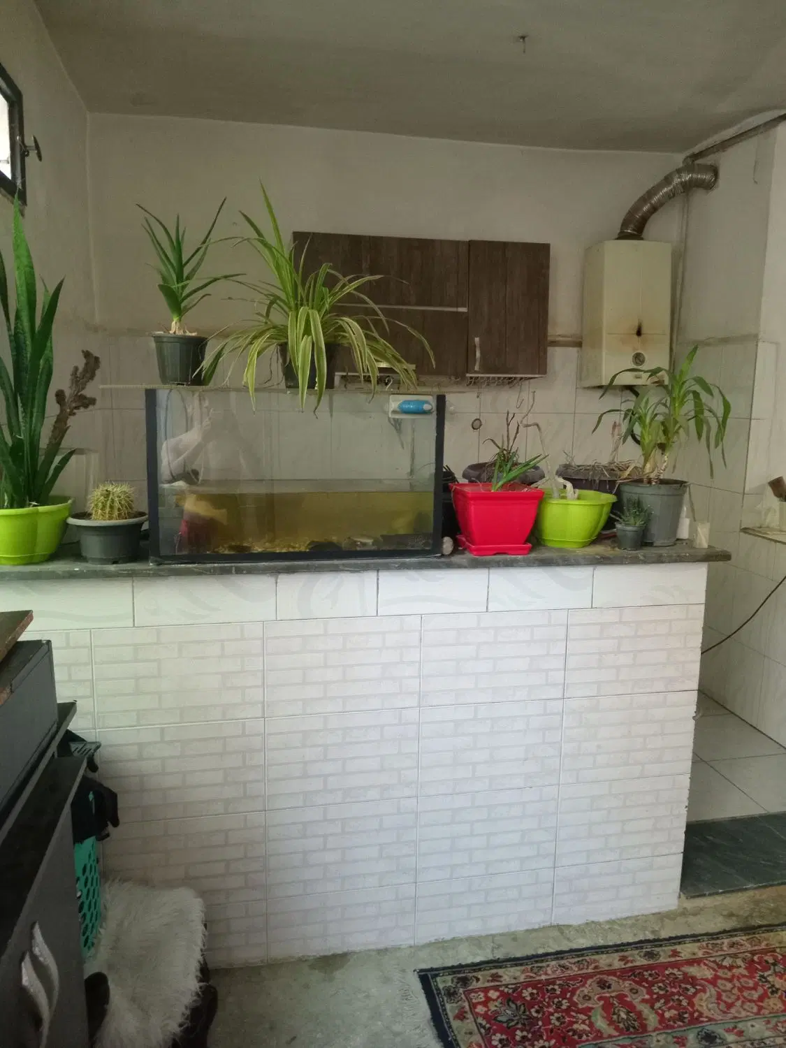 خانه اجاره ای