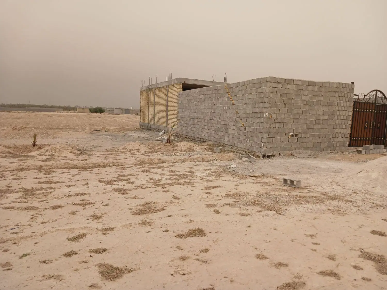 زمین مسکونی ولی عصر