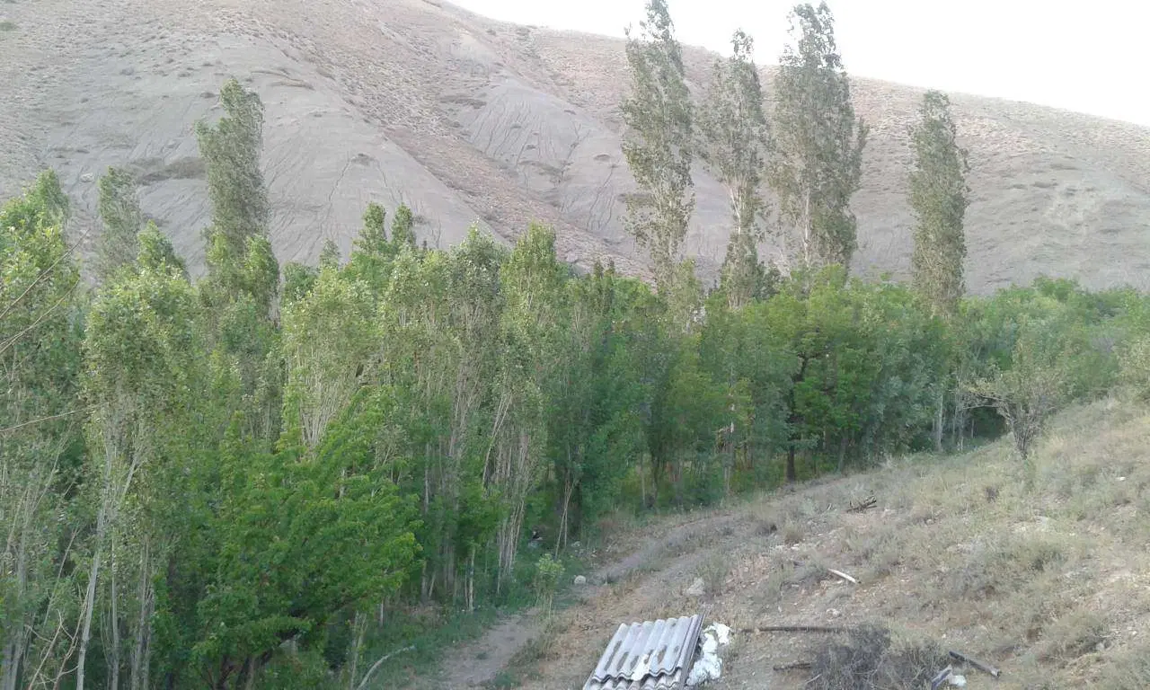 فروش زمین باغ روستای هرانده